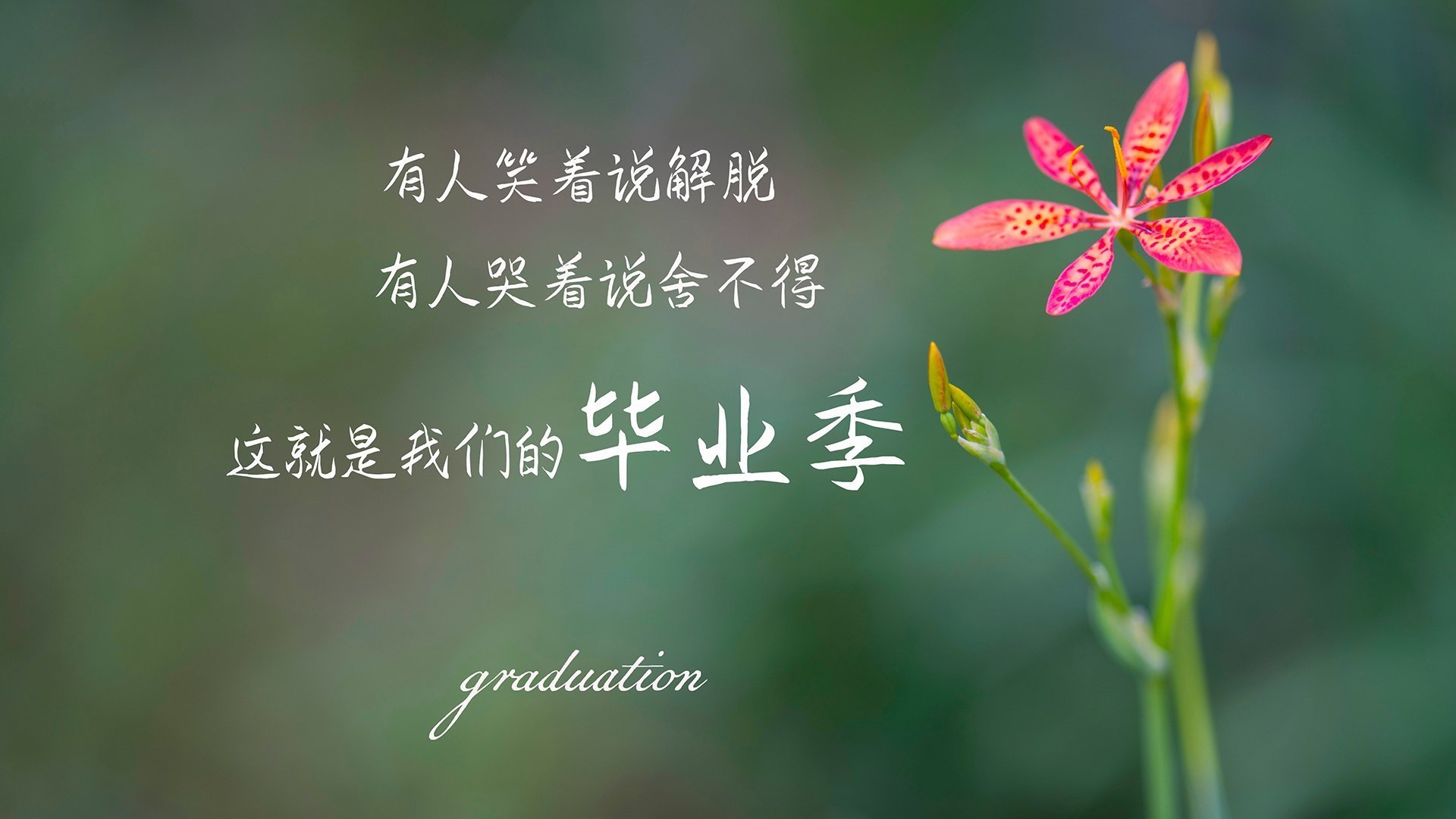 爱游戏真人体育娱乐-赛季必看：十大激烈焦点对决回顾，联赛焦点