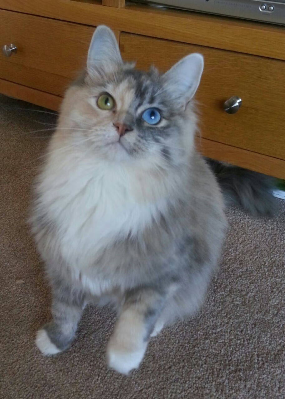 爱游戏全站注册-博卡计划加强心理素质与比赛韧性培养，博卡青年培养出的球星