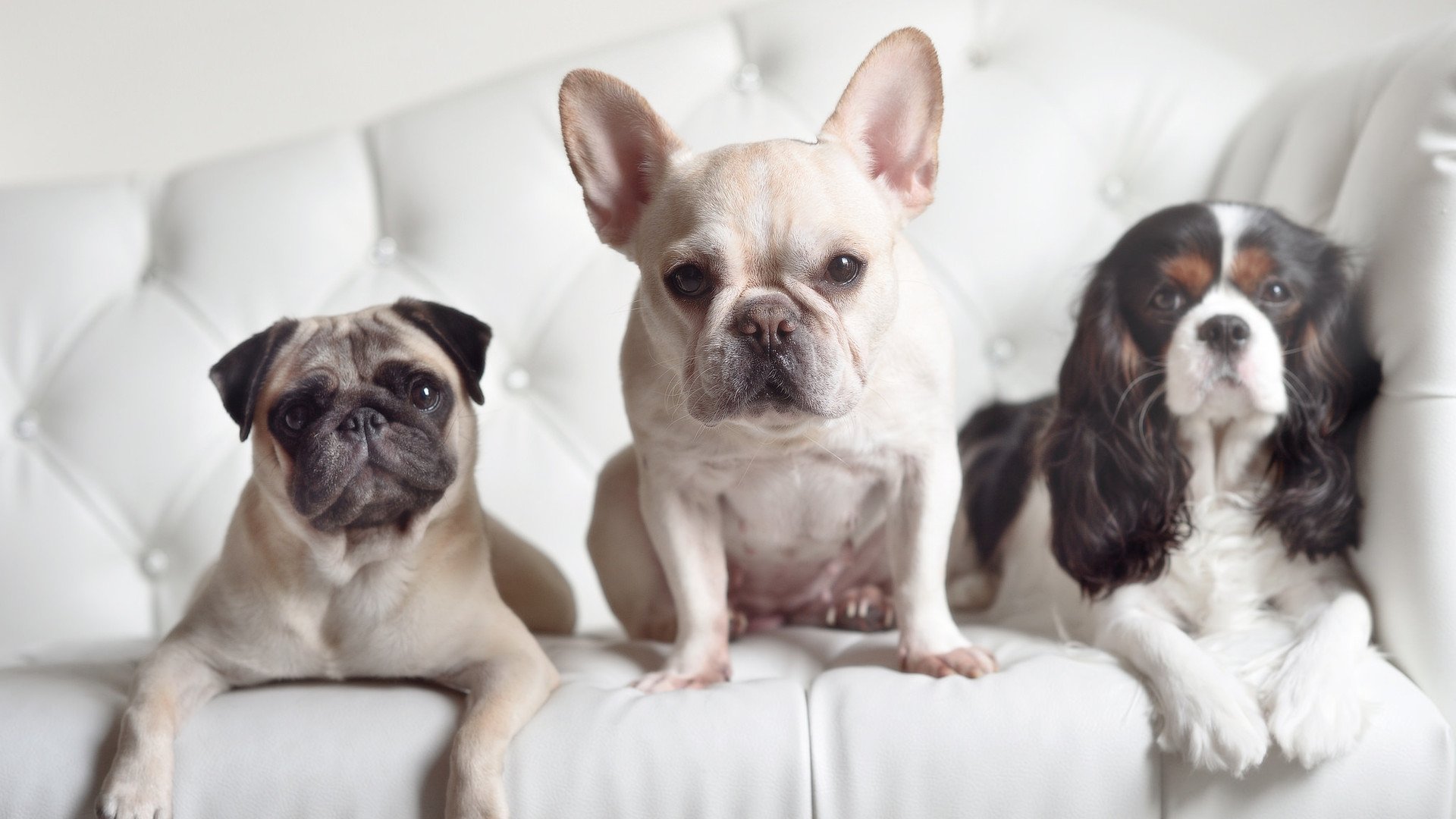 爱游戏登录-伊朗男篮在亚洲预赛中奋勇拼搏，争取奥运入场资格，伊朗男篮联赛